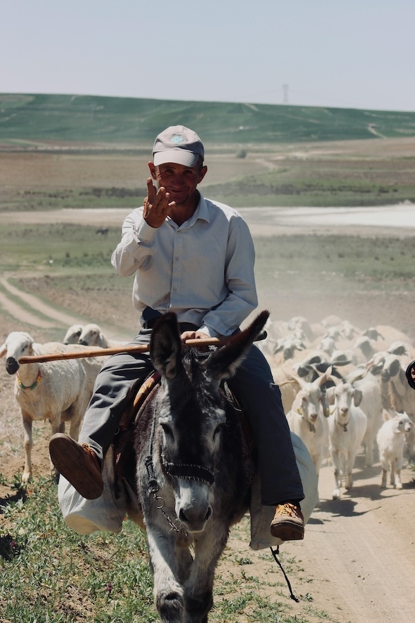 A man riding a donkey show casing the ultimate examples of sustainable living